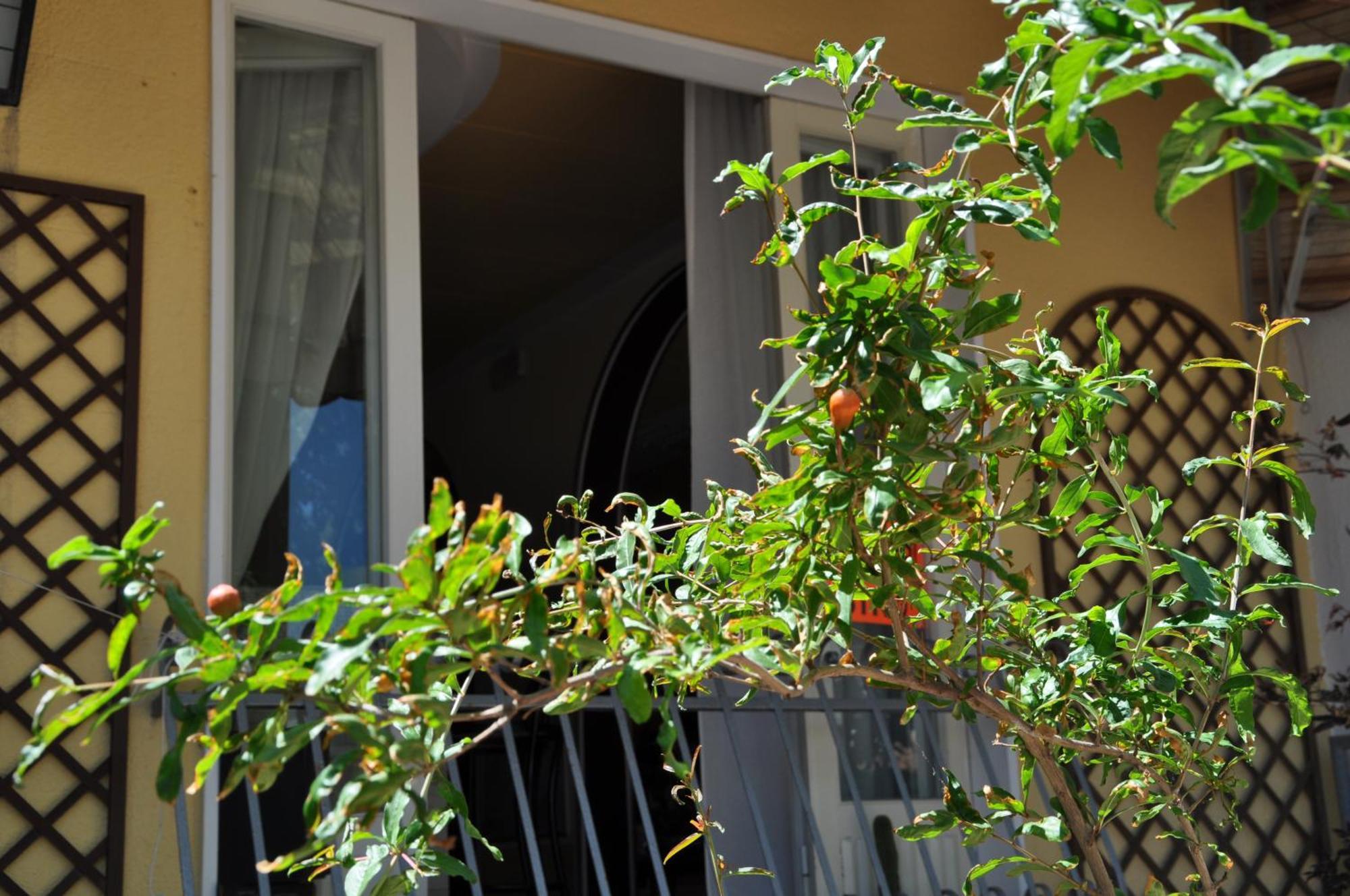Hotel Corallo Garni Cattolica Exterior foto